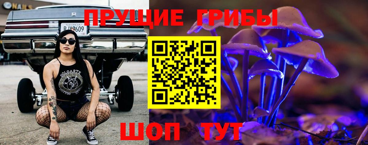 Псилоцибиновые грибы MAGIC MUSHROOMS Саратов